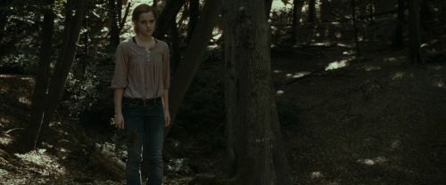 Click to view full size image
==============
RdM1-Potterish6949.jpg RdM1-Potterish6949.jpg