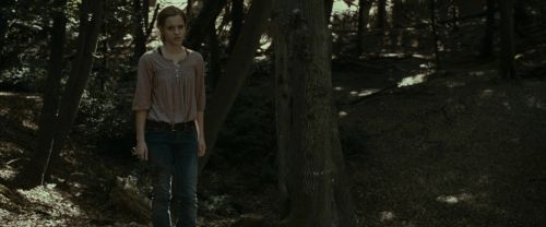 Click to view full size image
==============
RdM1-Potterish6951.jpg RdM1-Potterish6951.jpg