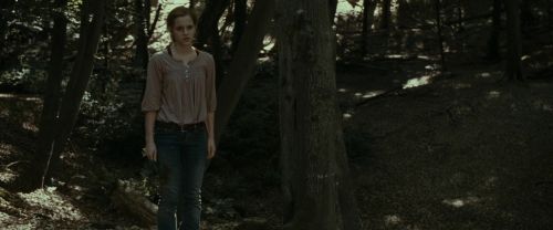 Click to view full size image
==============
RdM1-Potterish6952.jpg RdM1-Potterish6952.jpg
