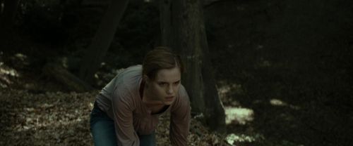 RdM1-Potterish6963.jpg
