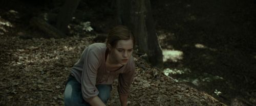 Click to view full size image
==============
RdM1-Potterish6964.jpg RdM1-Potterish6964.jpg