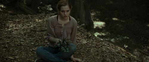 Click to view full size image
==============
RdM1-Potterish6967.jpg RdM1-Potterish6967.jpg