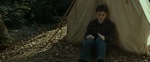 Click to view full size image
==============
RdM1-Potterish6973.jpg RdM1-Potterish6973.jpg