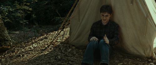 RdM1-Potterish6974.jpg