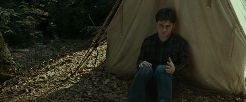 RdM1-Potterish6984.jpg