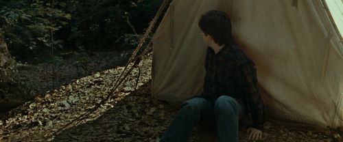 RdM1-Potterish6996.jpg