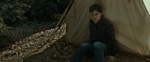 RdM1-Potterish6998.jpg