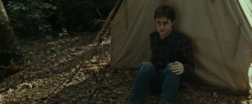 RdM1-Potterish7005.jpg