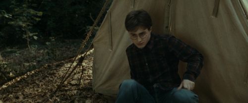 RdM1-Potterish7018.jpg