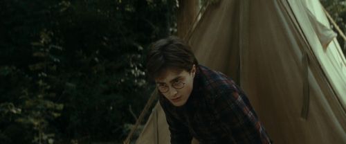 RdM1-Potterish7020.jpg