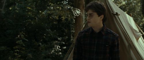 RdM1-Potterish7027.jpg