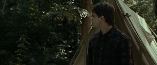 RdM1-Potterish7028.jpg