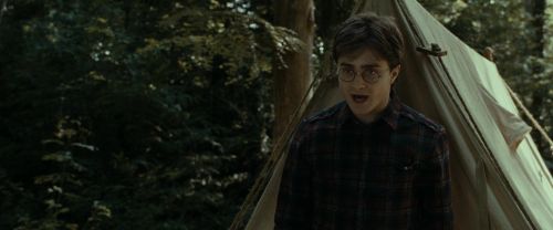 RdM1-Potterish7032.jpg