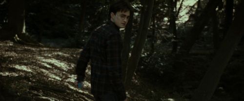 Click to view full size image
==============
RdM1-Potterish7041.jpg RdM1-Potterish7041.jpg