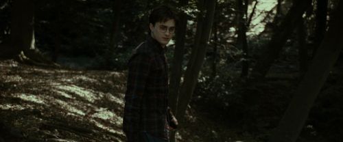 Click to view full size image
==============
RdM1-Potterish7042.jpg RdM1-Potterish7042.jpg