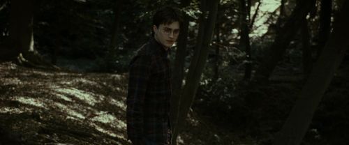 RdM1-Potterish7043.jpg