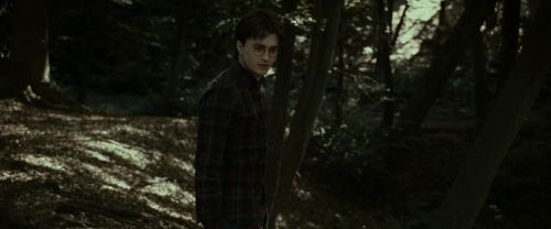 RdM1-Potterish7044.jpg