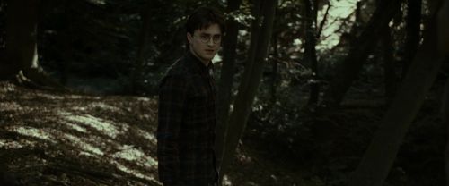 RdM1-Potterish7045.jpg