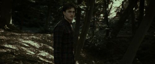 RdM1-Potterish7046.jpg