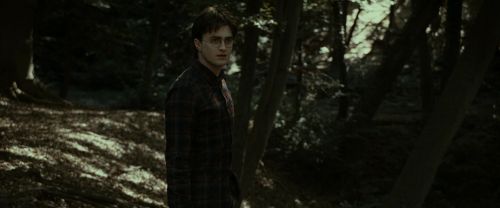 RdM1-Potterish7048.jpg