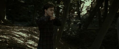 RdM1-Potterish7052.jpg