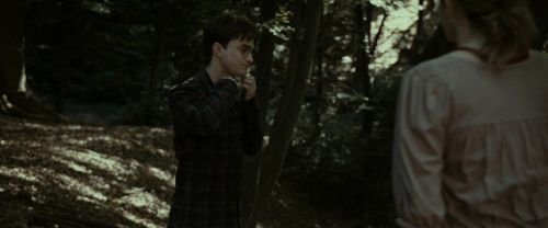 RdM1-Potterish7053.jpg