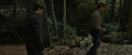 RdM1-Potterish7082.jpg