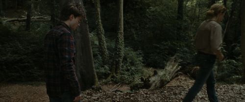 RdM1-Potterish7083.jpg