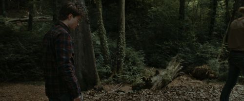 Click to view full size image
==============
RdM1-Potterish7084.jpg RdM1-Potterish7084.jpg