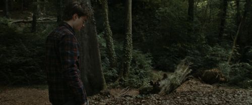 Click to view full size image
==============
RdM1-Potterish7085.jpg RdM1-Potterish7085.jpg
