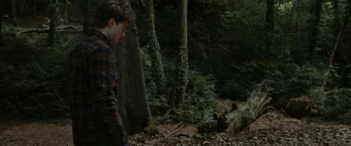 RdM1-Potterish7086.jpg