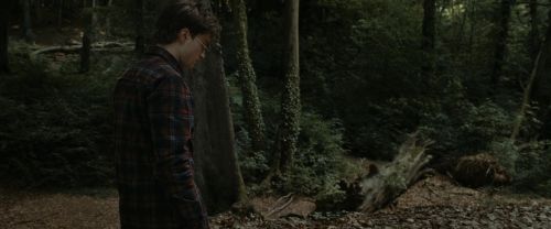 RdM1-Potterish7087.jpg