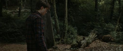 Click to view full size image
==============
RdM1-Potterish7088.jpg RdM1-Potterish7088.jpg