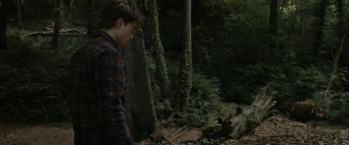 Click to view full size image
==============
RdM1-Potterish7089.jpg RdM1-Potterish7089.jpg