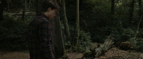 RdM1-Potterish7090.jpg
