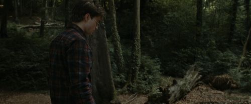 RdM1-Potterish7091.jpg