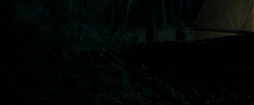 RdM1-Potterish7093.jpg
