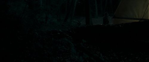 RdM1-Potterish7095.jpg