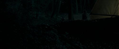 RdM1-Potterish7096.jpg