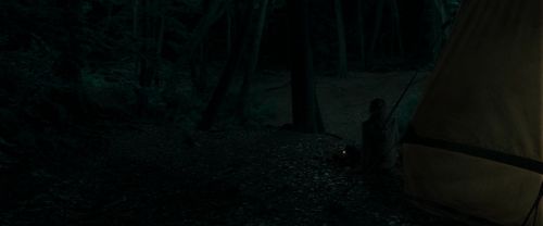 RdM1-Potterish7112.jpg