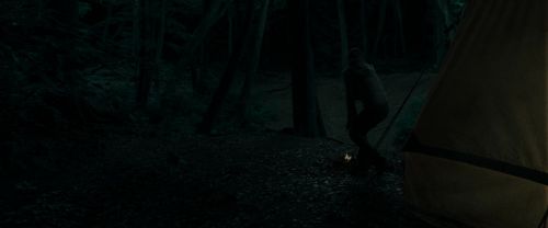 RdM1-Potterish7115.jpg