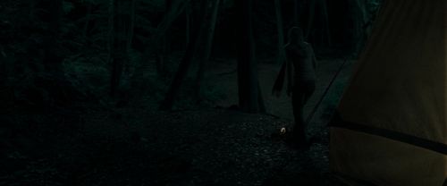 RdM1-Potterish7116.jpg
