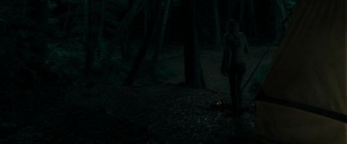 RdM1-Potterish7117.jpg