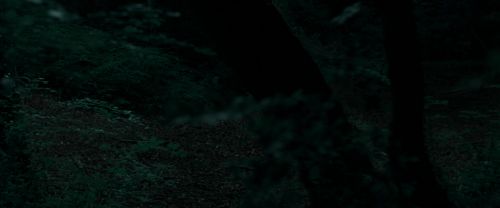 RdM1-Potterish7154.jpg