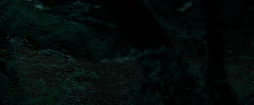 RdM1-Potterish7155.jpg