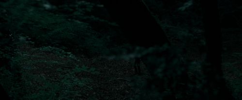 RdM1-Potterish7156.jpg