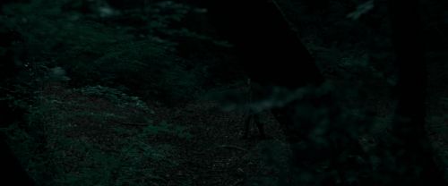 RdM1-Potterish7157.jpg