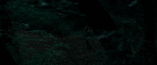 RdM1-Potterish7158.jpg