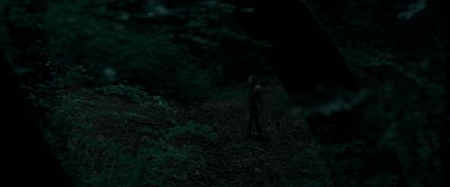 RdM1-Potterish7160.jpg