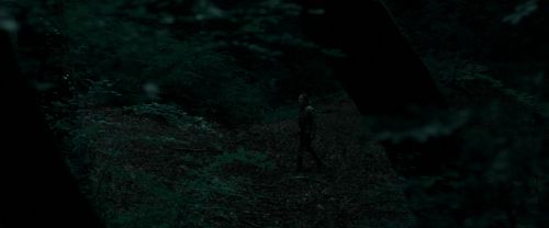 RdM1-Potterish7161.jpg